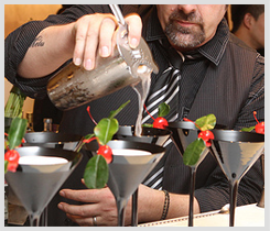Professional Bartenders Chennai